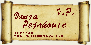 Vanja Pejaković vizit kartica